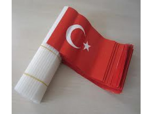 Elde Sallama Kağıt Türk Bayrakları